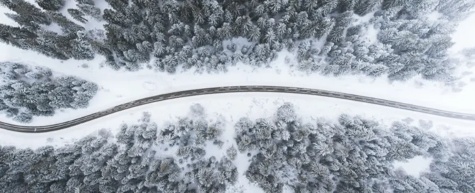 Road running through a forest during winter